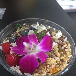 beautiful bowl  at Raw Remedy in Palm Springs