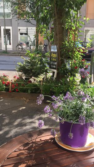 A lovely garden  at ATAYA in Berlin