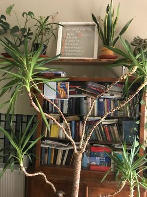 Jungle ! at ATAYA in Berlin