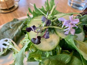   at Parlor City Vegan in Binghamton