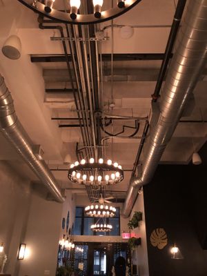 Interior  at Modern Love in Brooklyn