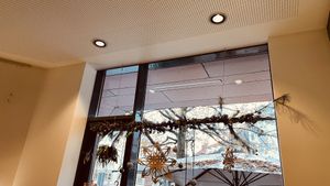   at Mezzo  in Hannover