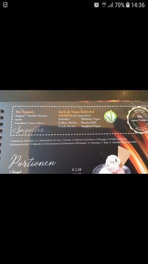 Verschiedene vegane Eissorten at Eiscafe Dolomiti in Gifhorn