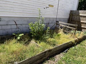   at Flora Kitchenette in Louisville