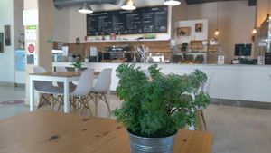 Balcão at O Canteiro in Setubal