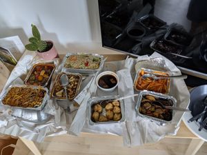 Feed time at Harvest Vegetarian Kitchen in Wrexham