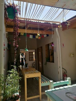 Cute little orgiami swans at Bum Kaldi in San Pedro De Atacama