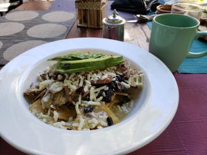 Chilaquiles w/ avocado. Loved the jackfruit! at Sirena Morena in Cancun