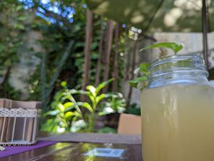 ginger soda at Sirena Morena in Cancun