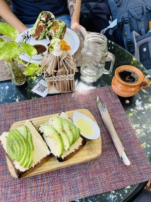 Avo-Toast and Wrap  at Sirena Morena in Cancun