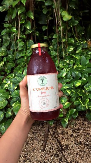 Kombucha at Sirena Morena in Cancun