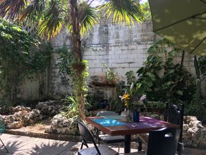 Garden at Sirena Morena in Cancun