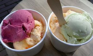 vegan ice pumpkin, pistache and blueberry at Fresco Middelburg in Middelburg