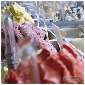 variedad vegana at Manna Gelats in Barcelona