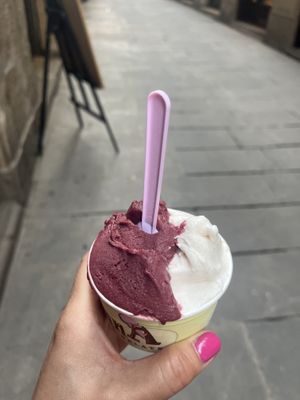 Açai and rice cinnamon   at Manna Gelats in Barcelona
