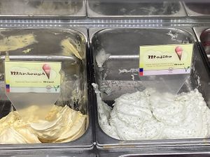 Vegan Mojito - lemon and mint  at Manna Gelats in Barcelona