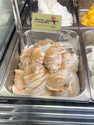  Vegan rice, cinnamon, and ginger  at Manna Gelats in Barcelona