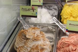 Rice, ginger, cinnamon vegan gelato at Manna Gelats in Barcelona