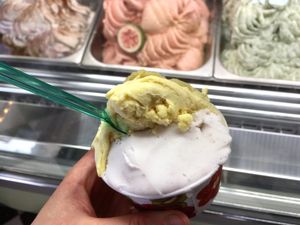 passion fruit sorbet and rice sorbet with ginger & cinnamom at Manna Gelats in Barcelona