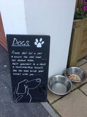 Dog friendly restaurant at The Mermaid in Swansea