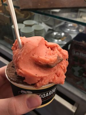 Vegan dark chocolate and strawberry gelato at Edoardo - Piazza del Duomo in Florence