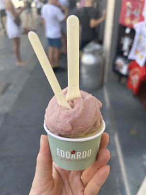 red wine sorbet + salted pistachio  at Edoardo - Piazza del Duomo in Florence