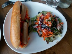 sitan hot dog with salad at Vege Cafe in Lausanne