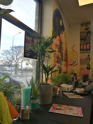 Vegan placards at Juicebar Truth Health Spirit in Malmo