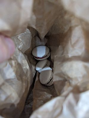  at Cloud Cakes - Mandar in Paris