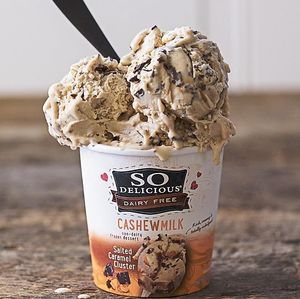 Vegan Ice Cream at Coco Bean Coffee Shop & Cafe in Chapel Hill