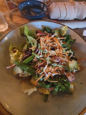 Avocado rainbow salad at Estero Lounge in Monmouth