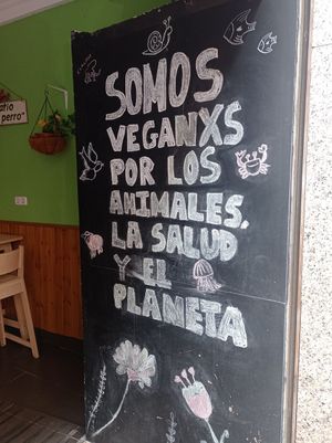  at El Perro Gamberro in Madrid