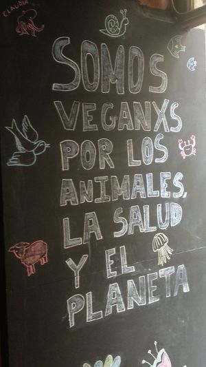 👍 at El Perro Gamberro in Madrid