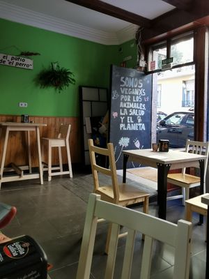 💚 at El Perro Gamberro in Madrid