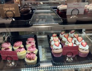 Chocolate filled, old-fashioned red velvet, vanilla, raspberry, and French strawberry cupcakes.  at Out of the Bubble Bakery in Springfield