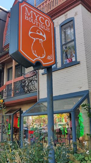  at Mycoboutique in Montreal