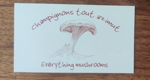  at Mycoboutique in Montreal