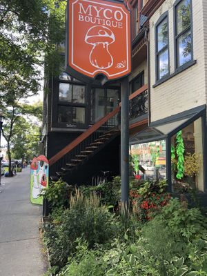 Outside  at Mycoboutique in Montreal