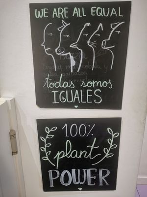  at Sweet Paradise in Tenerife