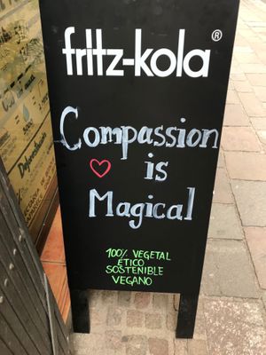 Verdad  at Sweet Paradise in Tenerife