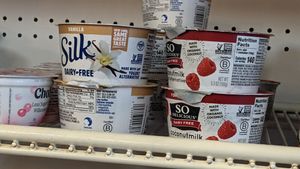 A couple of vegan yogurt choices at Book Trader Cafe in New Haven