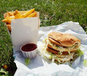 Vegan Big Mac and fries from the Globally Local food truck at the Guelph Vegfest. at Globally Local - Dundas in London
