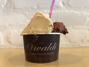 Best vegan icecream ever!!! at Gelateria Vivaldi in Florence