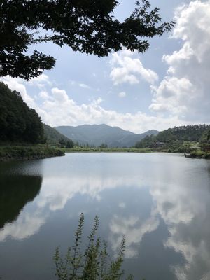 Lake garden right outside  at Chaedam Vegan Buffet in Daejeon