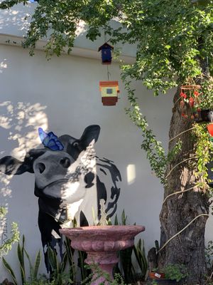 Happy cow with a butterfly at Marcial by Mako in Cabo San Lucas