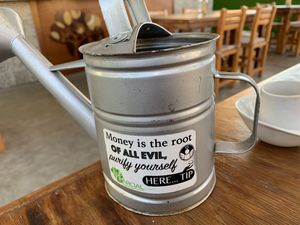 Not wrong at Marcial by Mako in Cabo San Lucas