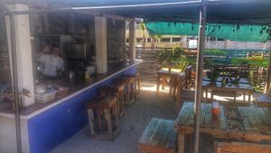 Mako vegan at Marcial by Mako in Cabo San Lucas