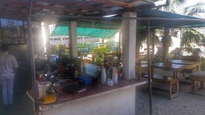 Mako vegan at Marcial by Mako in Cabo San Lucas