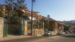 makos
 at Marcial by Mako in Cabo San Lucas