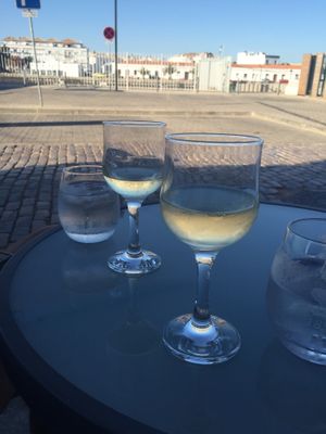 Green Wine at Mandala in Tavira